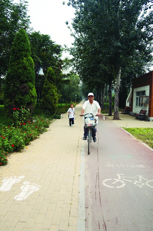 山東 廊坊 綠道