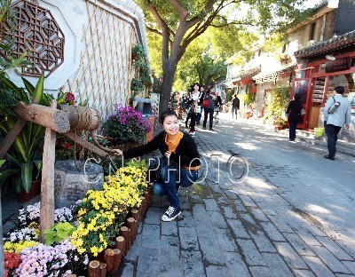 北京 胡同 綠化