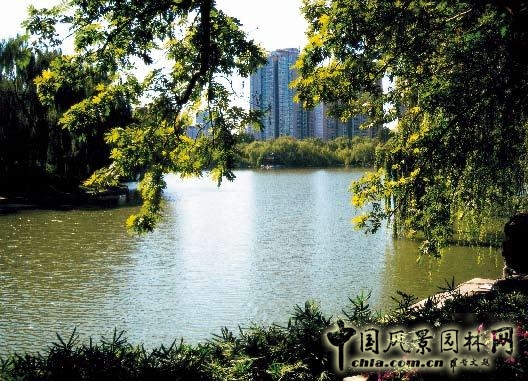 劉秀晨 綠色的云  城市園林 規(guī)劃 設(shè)計(jì) 中國風(fēng)景園林網(wǎng)