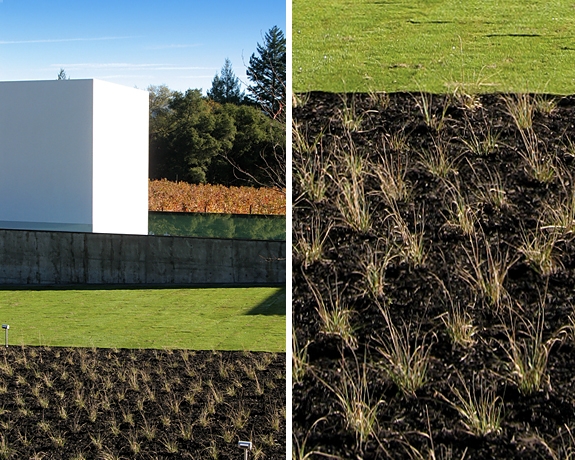 中國風景園林網 規劃設計