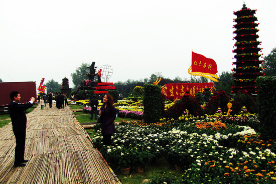 陜西 菊花 造型