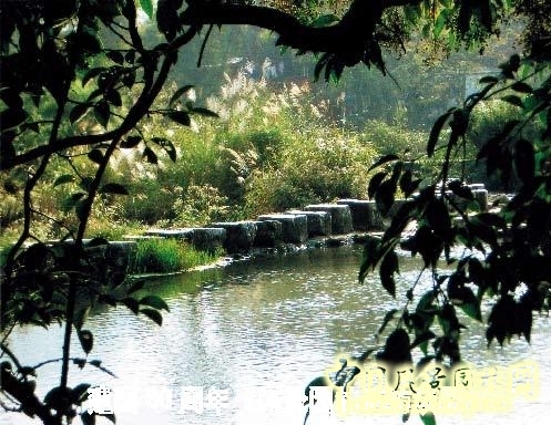 連載 劉秀晨 故鄉的云 風景園林 訪談 中國風景園林網