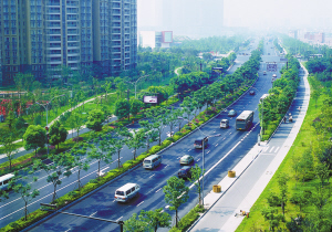 錢江新城道路綠化 