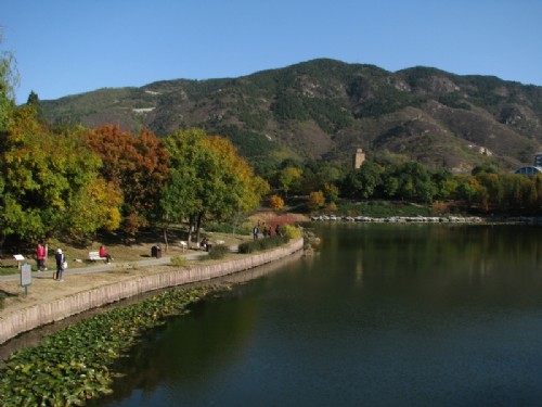 彩葉 北京植物園 植物