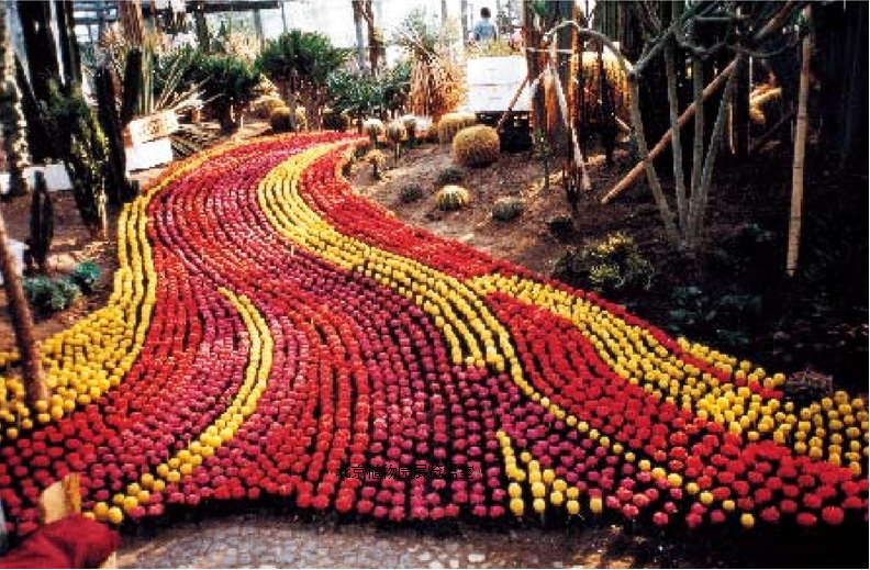 連載 劉秀晨 綠色的云 綠色的夢 北京植物園 中國風(fēng)景園林網(wǎng)