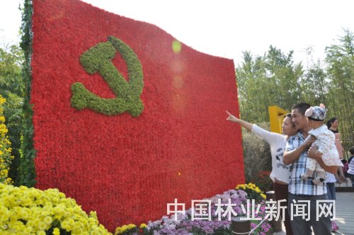 上海 園林 植物