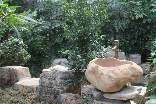 中國風景園林網 國內動態