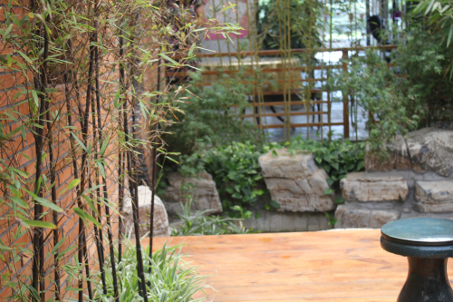 中國風景園林 國內動態