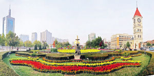 耐旱植物 花卉 造景