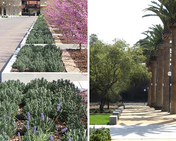 中國風景園林網 規劃設計