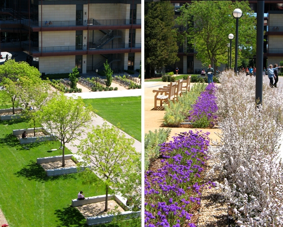 中國風(fēng)景園林網(wǎng) 規(guī)劃設(shè)計