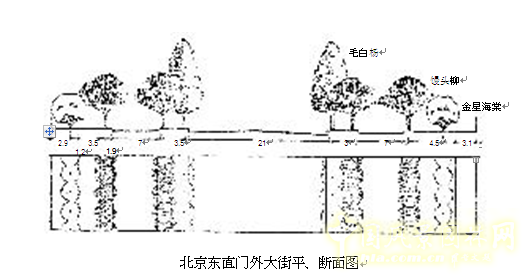 劉秀晨 綠色的云 北京 城市道路 綠化 中國風景園林網