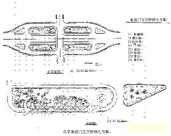 劉秀晨 綠色的云 北京 城市道路 綠化 中國風景園林網