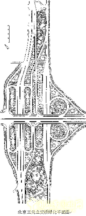 劉秀晨 綠色的云 北京 城市道路 綠化 中國風景園林網