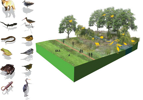 中國風景園林網 規劃設計