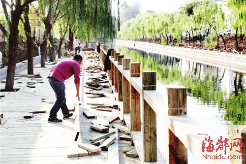 福建 綠化 步行道