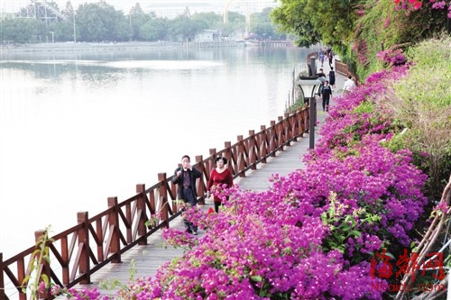 福建 綠化 步行道