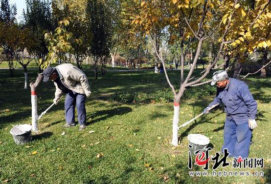 江蘇 綠化 修剪