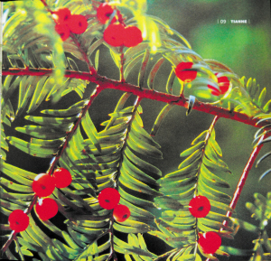 長沙 植物 環(huán)境