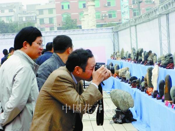 安康 奇石 展覽