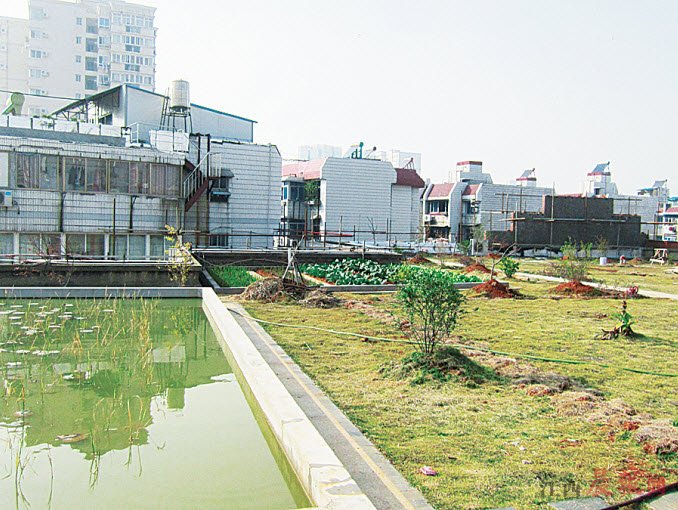 屋頂綠化 空中花園 南昌