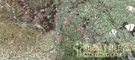 綠色大都會(huì)