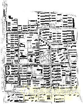 劉秀晨 綠色的云 古城 花園化建設 居住區綠化 中國風景園林網