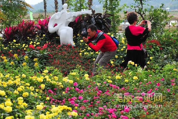 海南 玫瑰 展覽