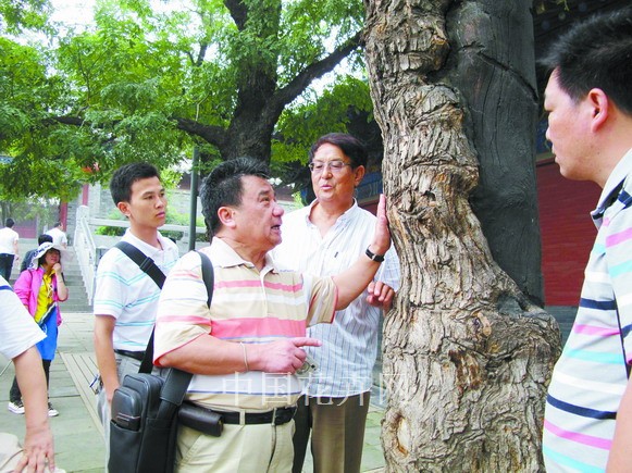 綠化 樹木復壯 滲水管透氣系統