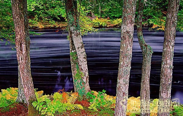 阿卡迪亞國家公園