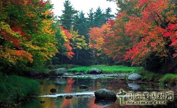阿卡迪亞國家公園