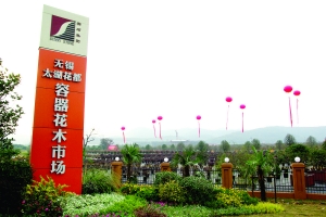 太湖 花卉 市場(chǎng)