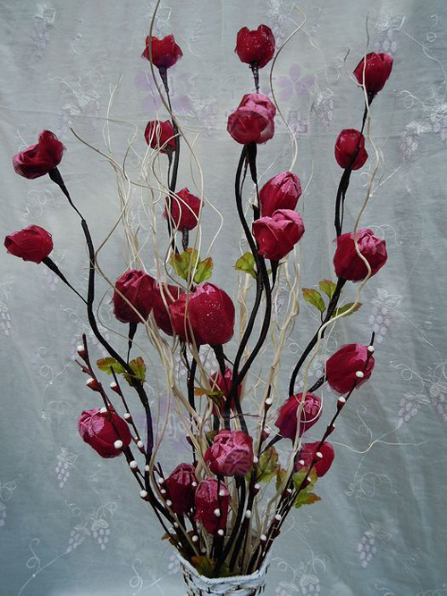 觀枝植物 龍柳 園林