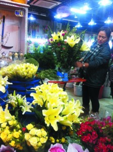 圣誕 花卉 遼寧