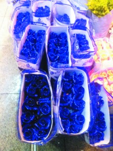 圣誕 花卉 遼寧