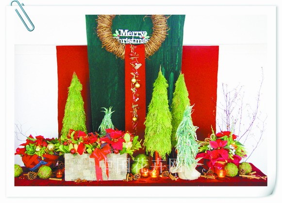 花卉 圣誕節 元旦