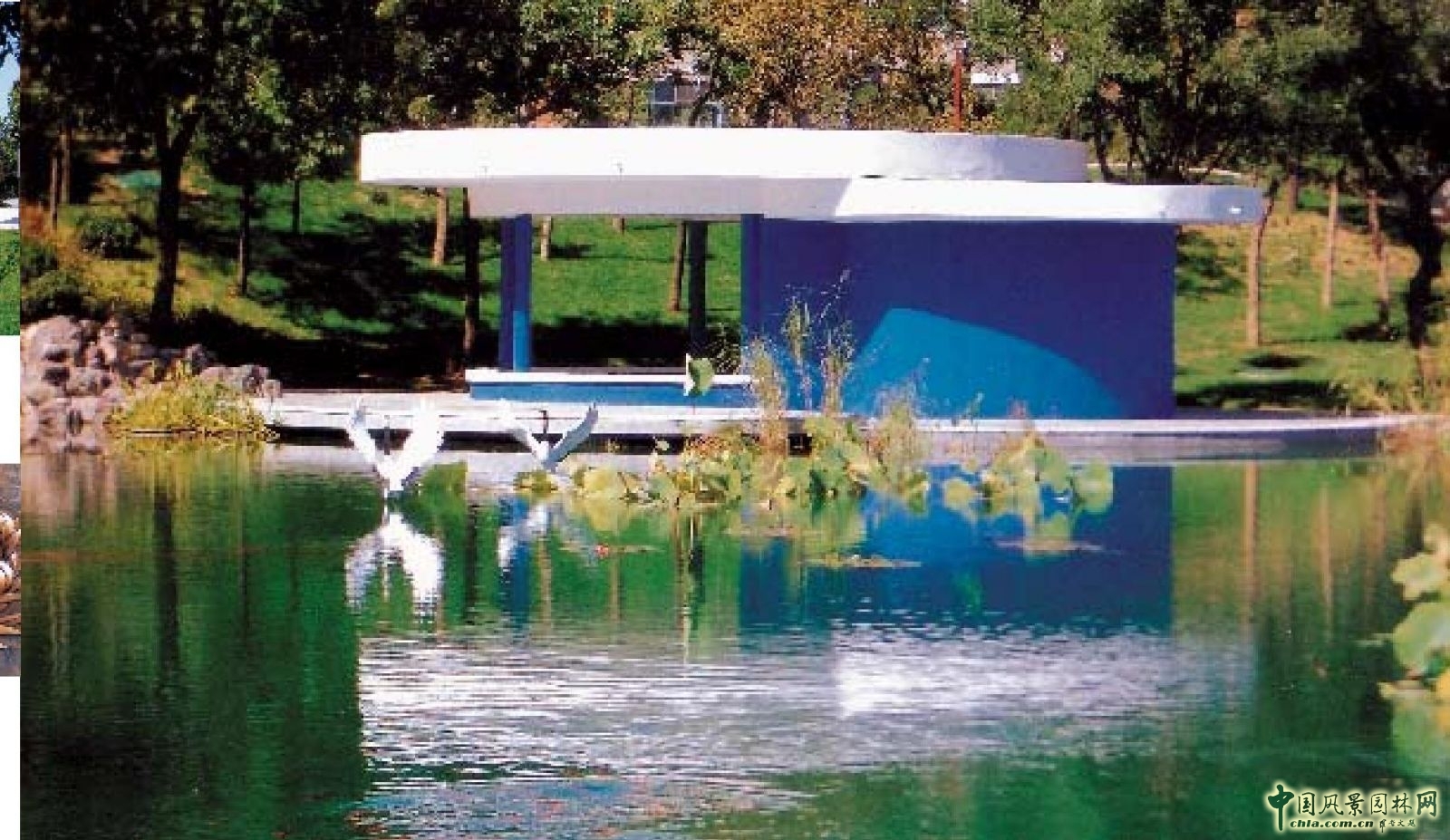 劉秀晨 綠色的云 小黑山公園 園林城市 中國風景園林網