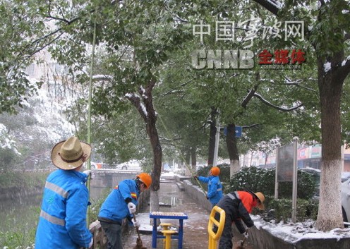 園林 行道樹 養護管理