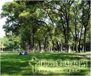 豐慶公園
