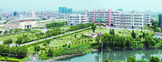 綠化 綠網 學校綠化