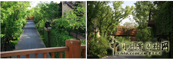 白祖華 景觀設(shè)計(jì) 園冶高峰論壇 中國風(fēng)景園林網(wǎng)