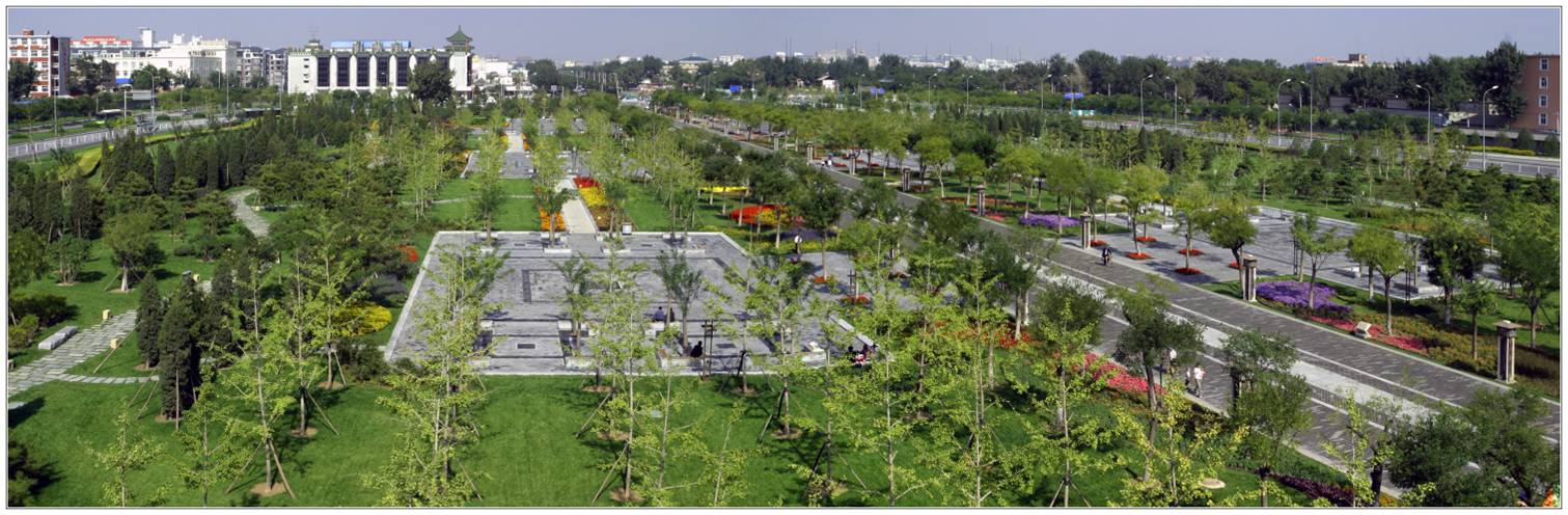 中國風景園林網