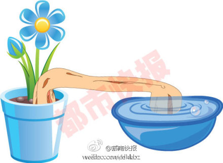 植物 養護 盆栽