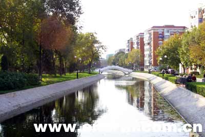 大樹進城 生態城市 城市規劃 綠化工程