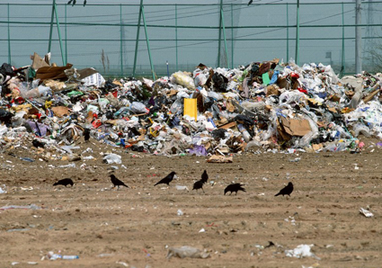 兩會 霧霾 節(jié)能減排 生態(tài)文明