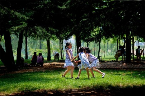 城市之肺 園林城市 