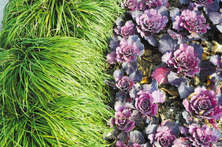 中國風景園林網(wǎng)