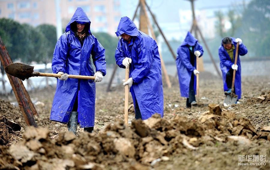 生態 環境 城市之肺 園林綠化 中國風景園林網