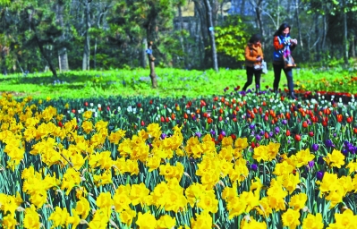 中國(guó)風(fēng)景園林網(wǎng) 中山植物園