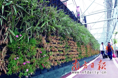 綠化 水價 佛山